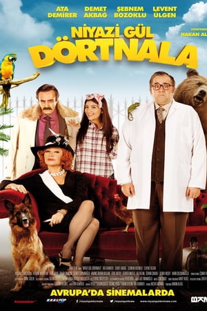 Niyazi Gül Dörtnala izle