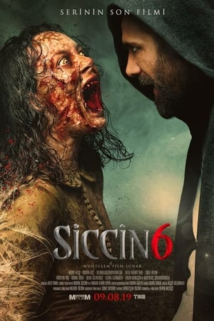 Siccin 6 izle