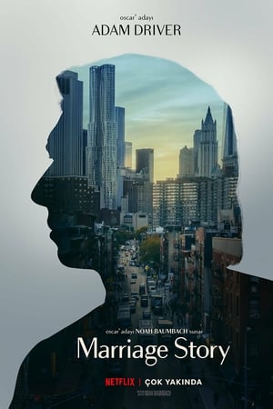 Evlilik Hikayesi izle