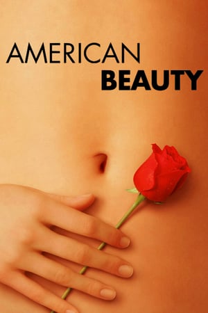Amerikan Güzeli izle