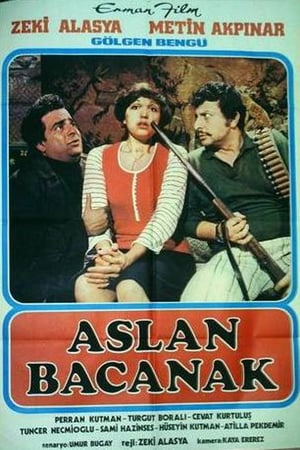 Aslan Bacanak izle