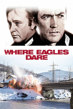 Kartal Yuvası izle