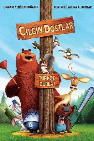 Çılgın Dostlar izle